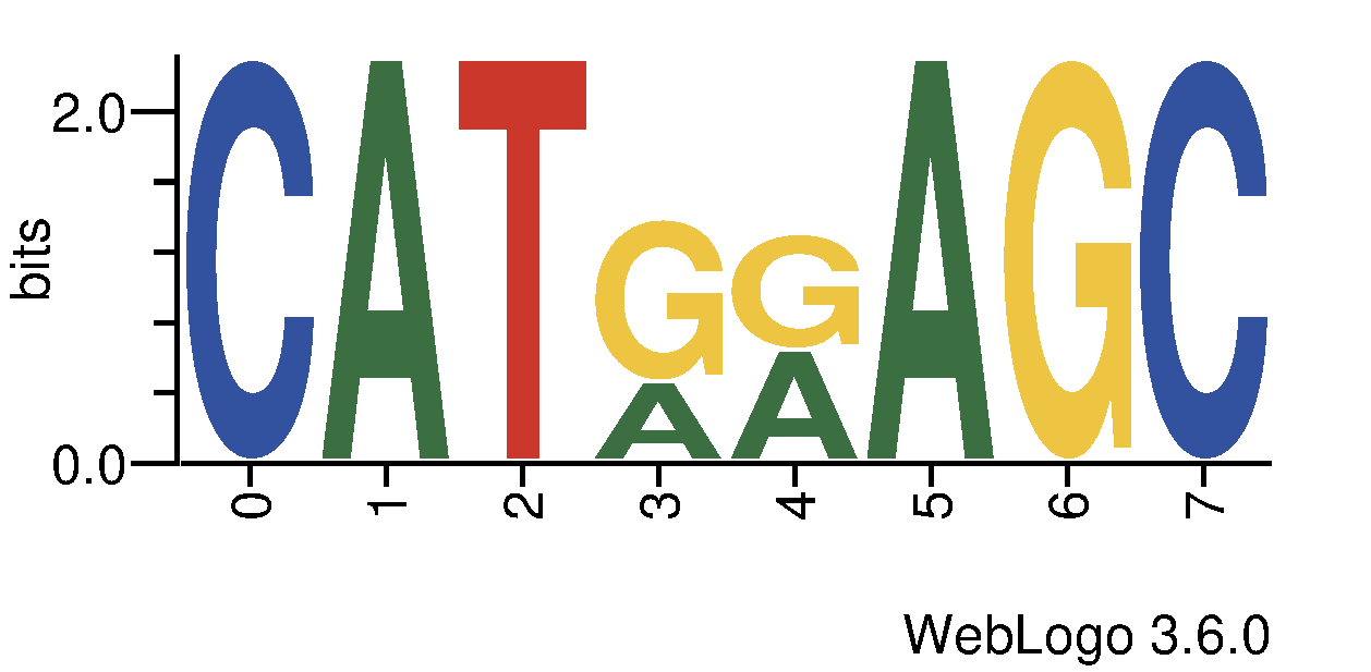 http://tfbsshape.usc.edu//temp/preprocess_data/jaspar/PF0134.1/binding_sites.png